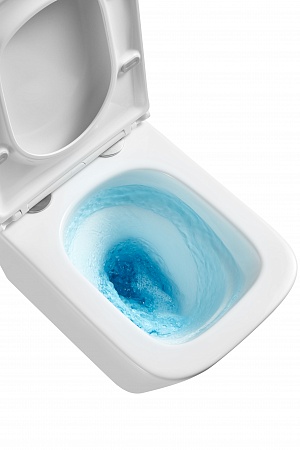 Подвесной унитаз безободковый Terminus Ватикан Monolit 490х340 белый Казань - фото 8 Подвесной унитаз безободковый Terminus Ватикан Monolit 490х340 белый Казань - фото 8