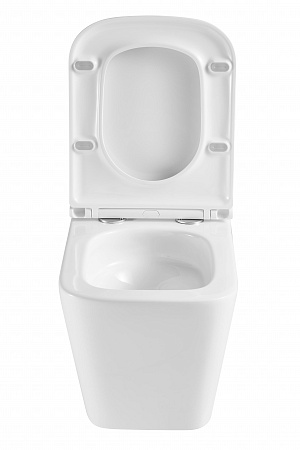 Подвесной унитаз безободковый Terminus Ватикан Monolit 490х340 белый Казань - фото 7 Подвесной унитаз безободковый Terminus Ватикан Monolit 490х340 белый Казань - фото 7