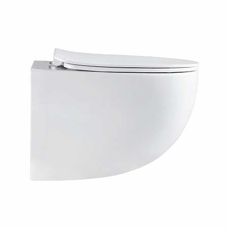 Подвесной унитаз безободковый Terminus Енисей Monolit 560х390 белый Казань - фото 4 Подвесной унитаз безободковый Terminus Енисей Monolit 560х390 белый Казань - фото 4