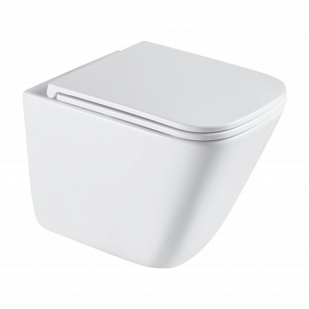 Подвесной унитаз безободковый Terminus Ватикан Monolit 490х340 белый Казань - фото 2 Подвесной унитаз безободковый Terminus Ватикан Monolit 490х340 белый Казань - фото 2