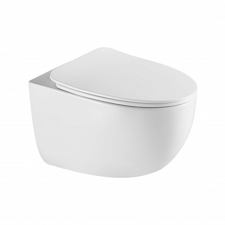 Подвесной унитаз безободковый Terminus Енисей Monolit 560х390 белый Казань - фото 2 Подвесной унитаз безободковый Terminus Енисей Monolit 560х390 белый Казань - фото 2