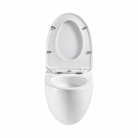 Подвесной унитаз безободковый Terminus Енисей Monolit 560х390 белый Казань - фото 5 Подвесной унитаз безободковый Terminus Енисей Monolit 560х390 белый Казань - фото 5