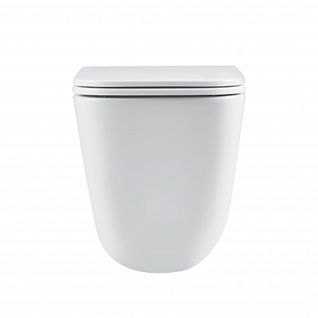 Подвесной унитаз безободковый Terminus Ватикан Monolit 490х340 белый Казань - фото 6 Подвесной унитаз безободковый Terminus Ватикан Monolit 490х340 белый Казань - фото 6