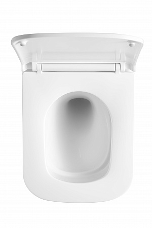 Подвесной унитаз безободковый Terminus Ватикан Monolit 490х340 белый Казань - фото 3 Подвесной унитаз безободковый Terminus Ватикан Monolit 490х340 белый Казань - фото 3